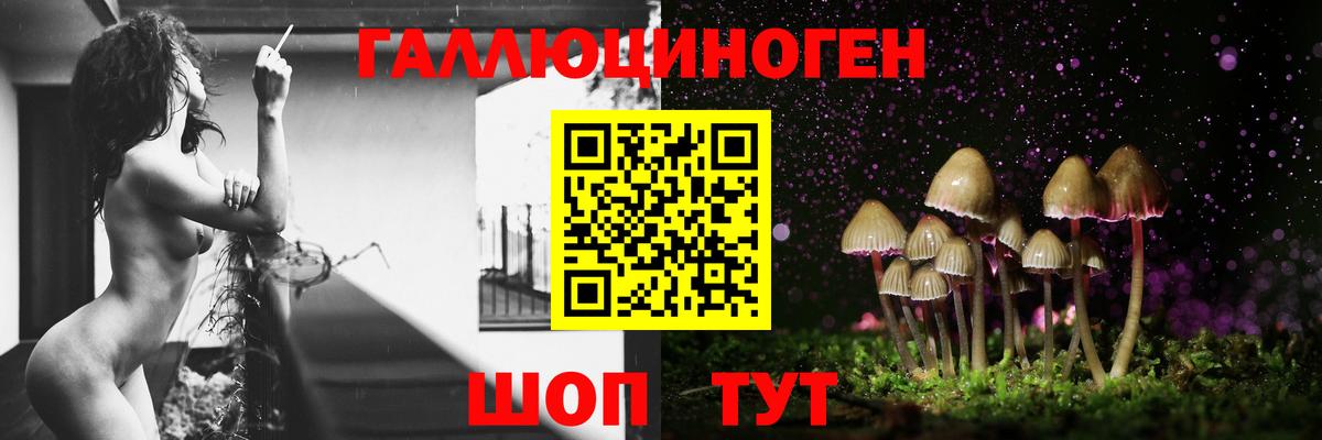 Псилоцибиновые грибы Psilocybine cubensis Альметьевск